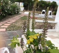 Villa Rosa (31).jpg